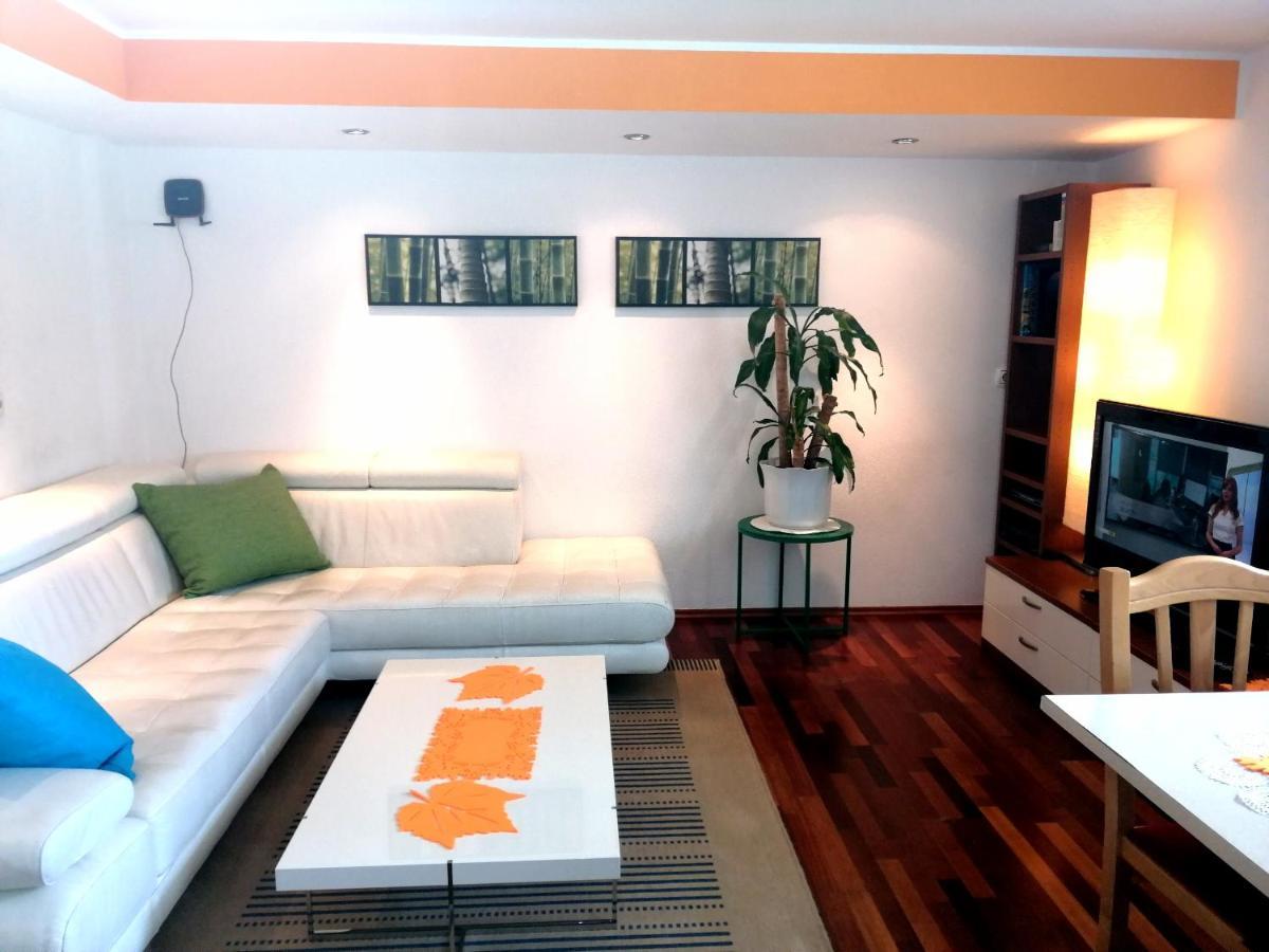 Mateja House - Apartments In Zirovnica Rodine エクステリア 写真