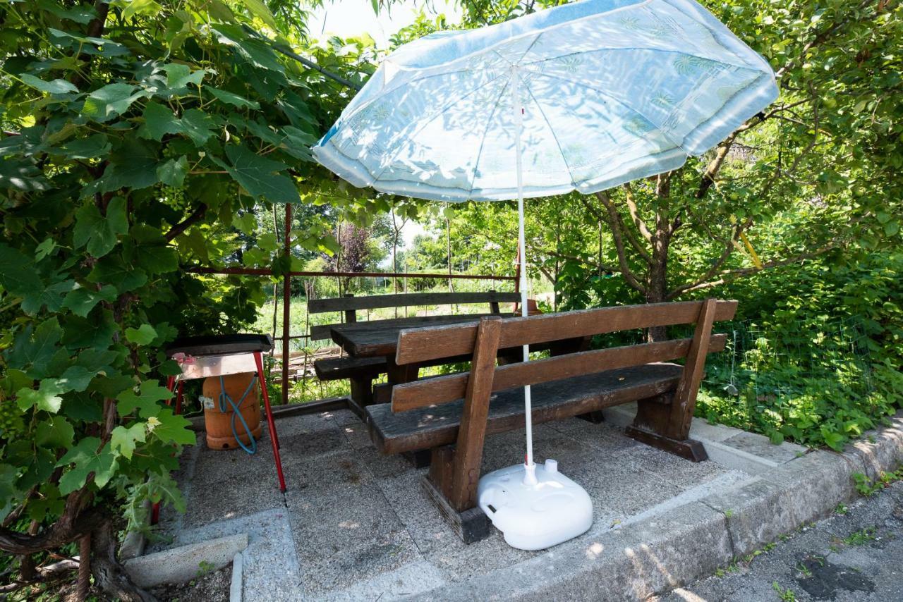Mateja House - Apartments In Zirovnica Rodine エクステリア 写真