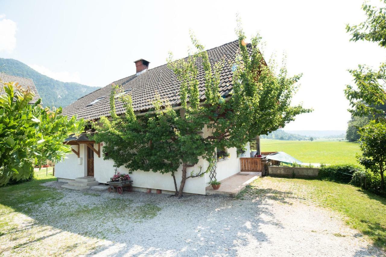 Mateja House - Apartments In Zirovnica Rodine エクステリア 写真